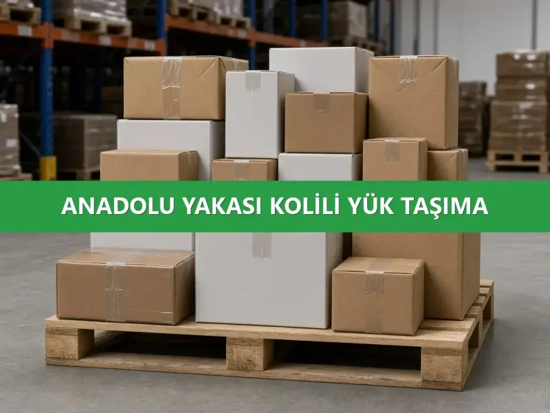 Kolili Yük Taşıma