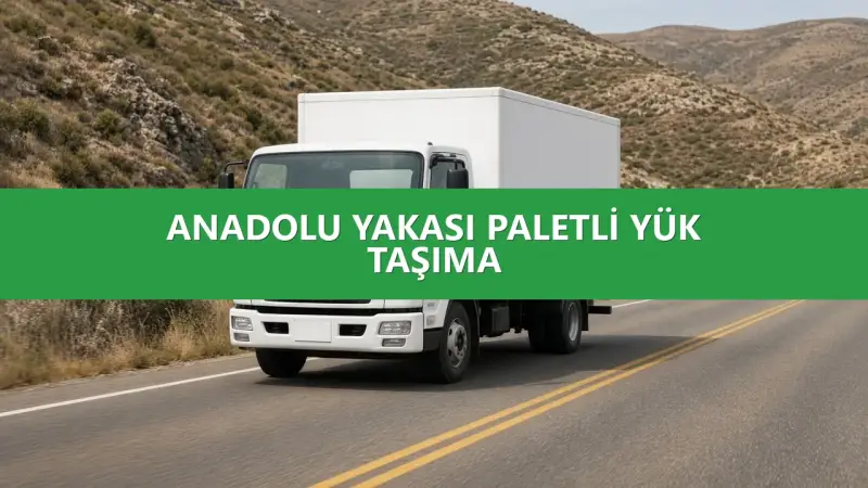 Paletli Yük Taşıma